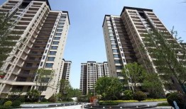 最新爆料石家庄,揭秘最新爆料背后的城市变革